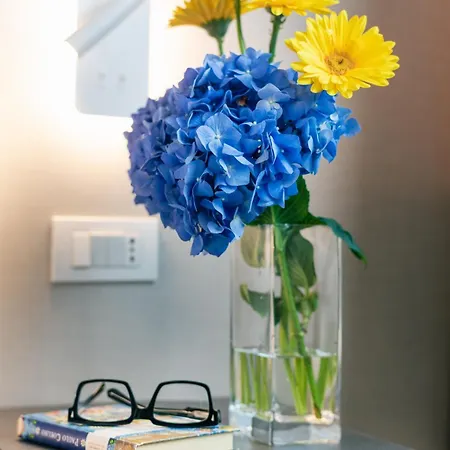 Michelino 75 By The Sydney Szálloda